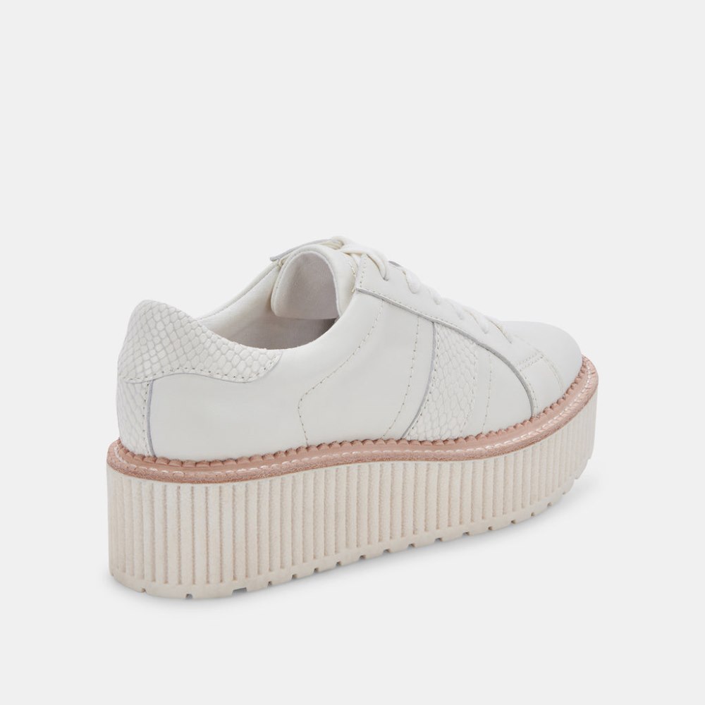 Dolce Vita Tiger Sneakers White Leather