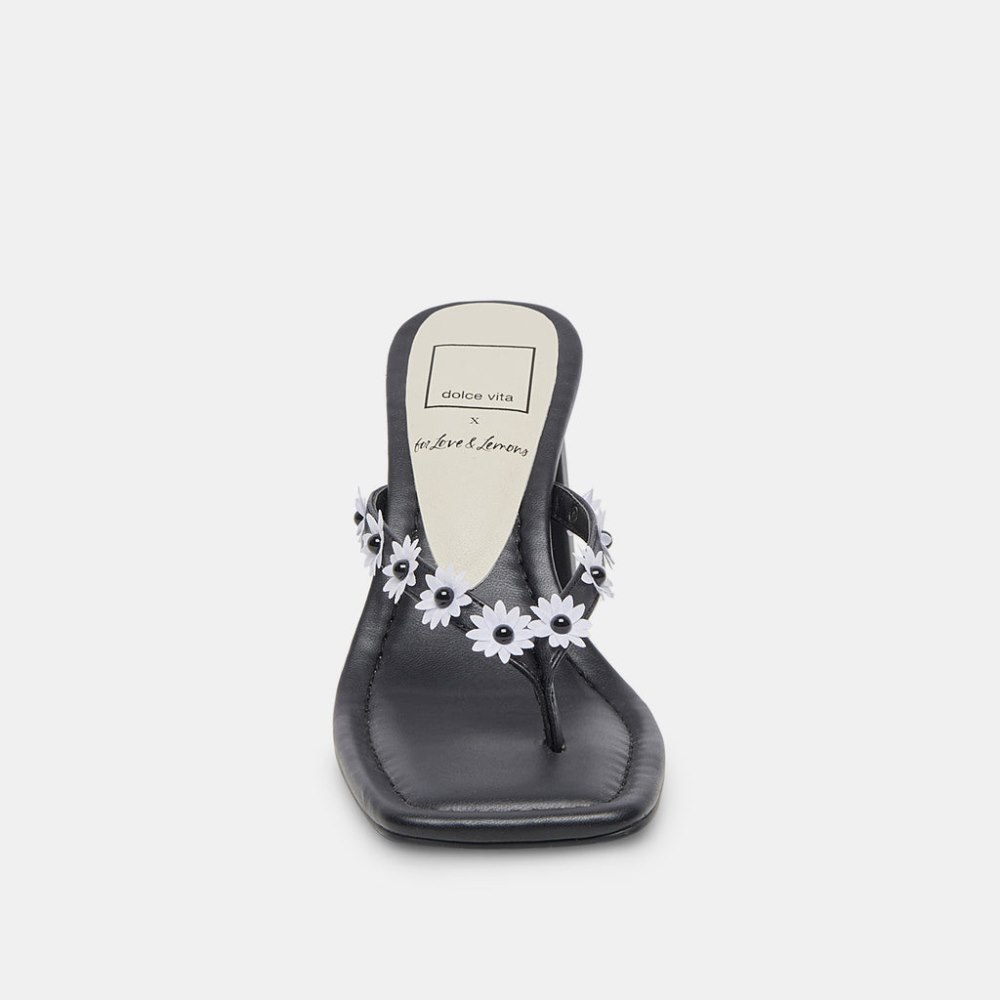 Dolce Vita Daphne Heels Black Stella
