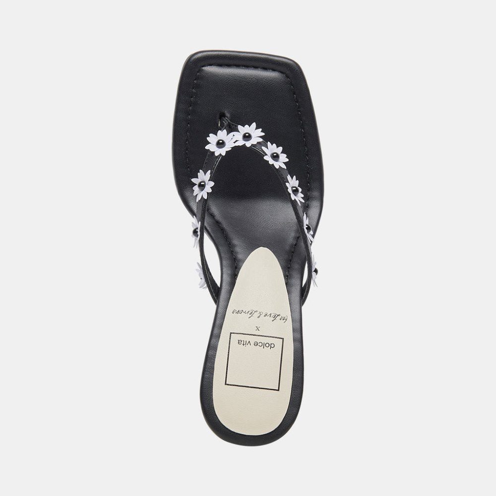 Dolce Vita Daphne Heels Black Stella